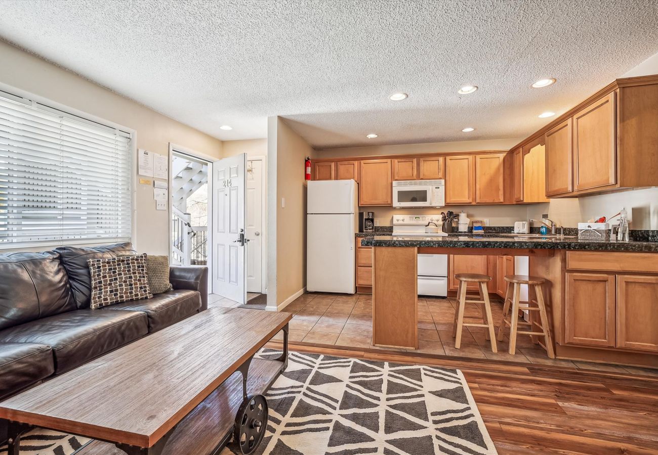 Condominium in Breckenridge - Tannhauser 214